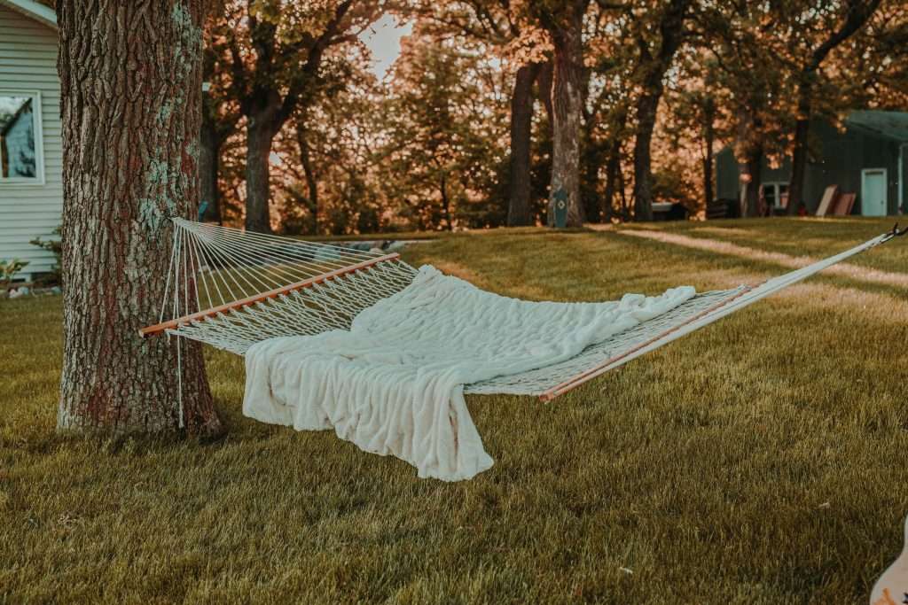 hammock between trees