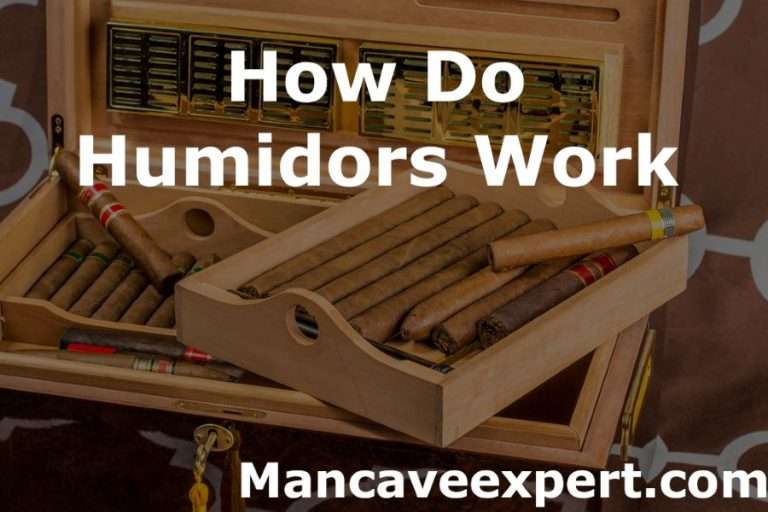 How Do Humidors Work